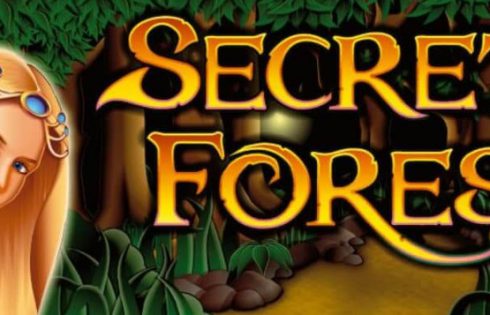 Игровой автомат Secret Forest - завоюй сокровища загадочного леса в казино Вулкан