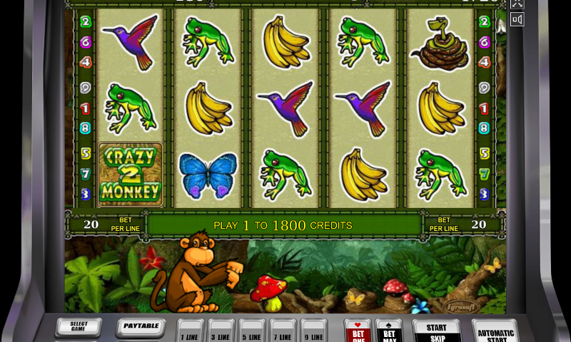 Игровой автомат Crazy Monkey 2 – выигрыши на каждый день в казино Вулкан Удачи