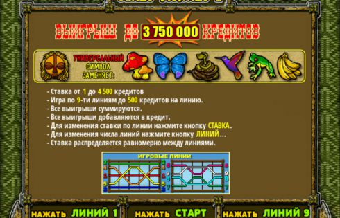 Игровой автомат Обезьянки 2 - забавные Лягушки принесут удачу в казино Вулкан